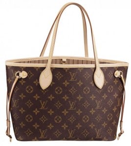 Louis-Vuitton-Neverfull-PM-598x667
